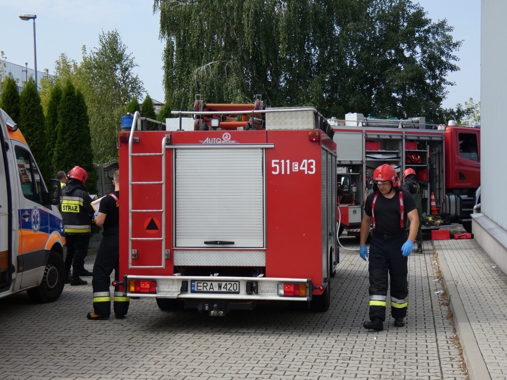Pożar samochodu dostawczego na ul. Torowej. Auto spłonęło doszczętnie