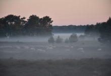 Gęste mgły nad powiatem radomszczańskim. IMGW wydał ostrzeżenie