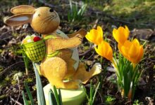 Wesołych Świąt Wielkanocnych życzy Puls Radomska