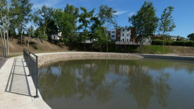 Park Glinianki nagrodzony. Radomsko docenione w regionie”