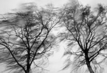 Noc z silnym wiatrem. Ostrzeżenie dla mieszkańców