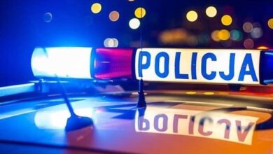 Pijana 18-latka bez prawa jazdy wjechała w ogrodzenie na Przedborskiej