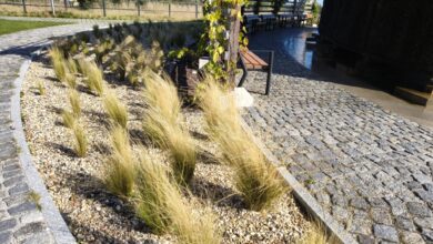 Do 10 tys. zł wsparcia dla ogrodów działkowych w Radomsku