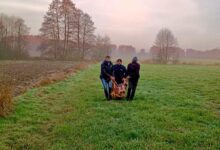 Na bagnistym terenie, w środku lasu. Policjanci odnaleźli zaginioną seniorkę