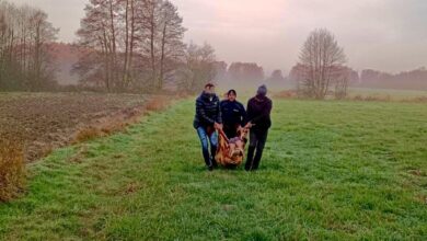 Na bagnistym terenie, w środku lasu. Policjanci odnaleźli zaginioną seniorkę