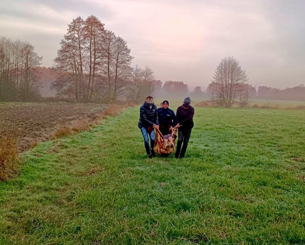 Na bagnistym terenie, w środku lasu. Policjanci odnaleźli zaginioną seniorkę