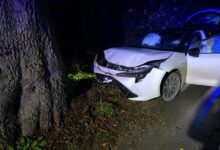 Chciał ominąć zwierzę, stracił panowanie nad autem