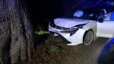 Chciał ominąć zwierzę, stracił panowanie nad autem