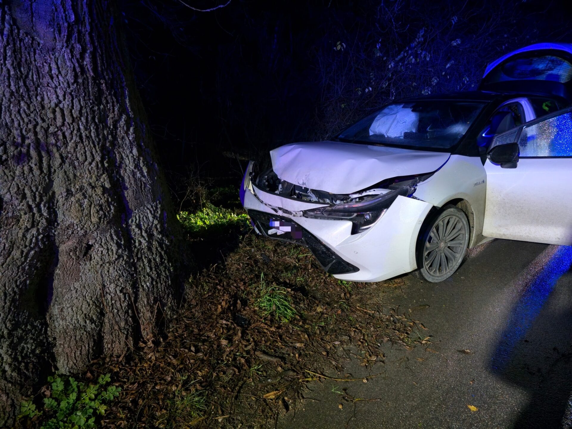 Chciał ominąć zwierzę, stracił panowanie nad autem