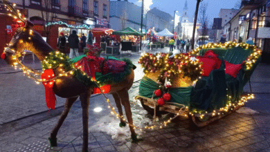 Magia świąt w Parku Świętojańskim. Powiat zaprasza na kiermasz „ERA Smaku”