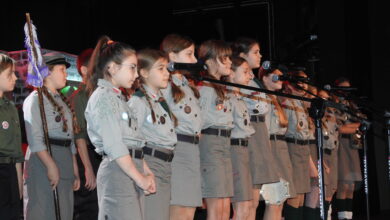 Magia w Radomsku! Harcerski OPAL zmienił MDK w prawdziwy Hogwart sztuki [ZDJĘCIA, FILM]