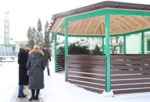 Nowa „zielona” przestrzeń w DPS w Radomsku