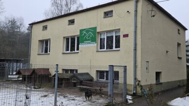 Radni sprawdzają schronisko w Radomsku