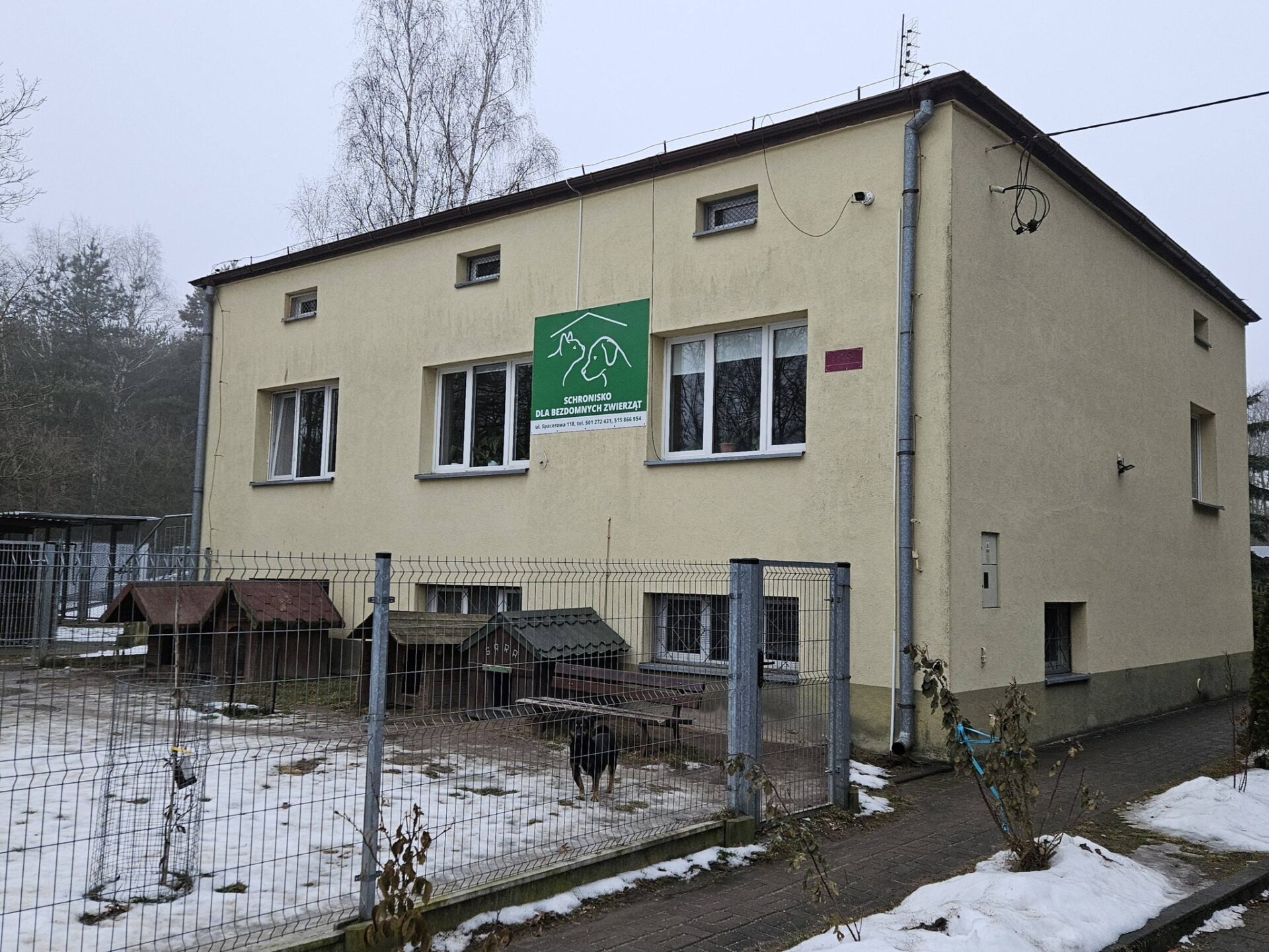 Radni sprawdzają schronisko w Radomsku