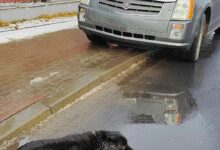 Podziękowania dla policjantów z Radomska. „Okazali mnóstwo empatii”