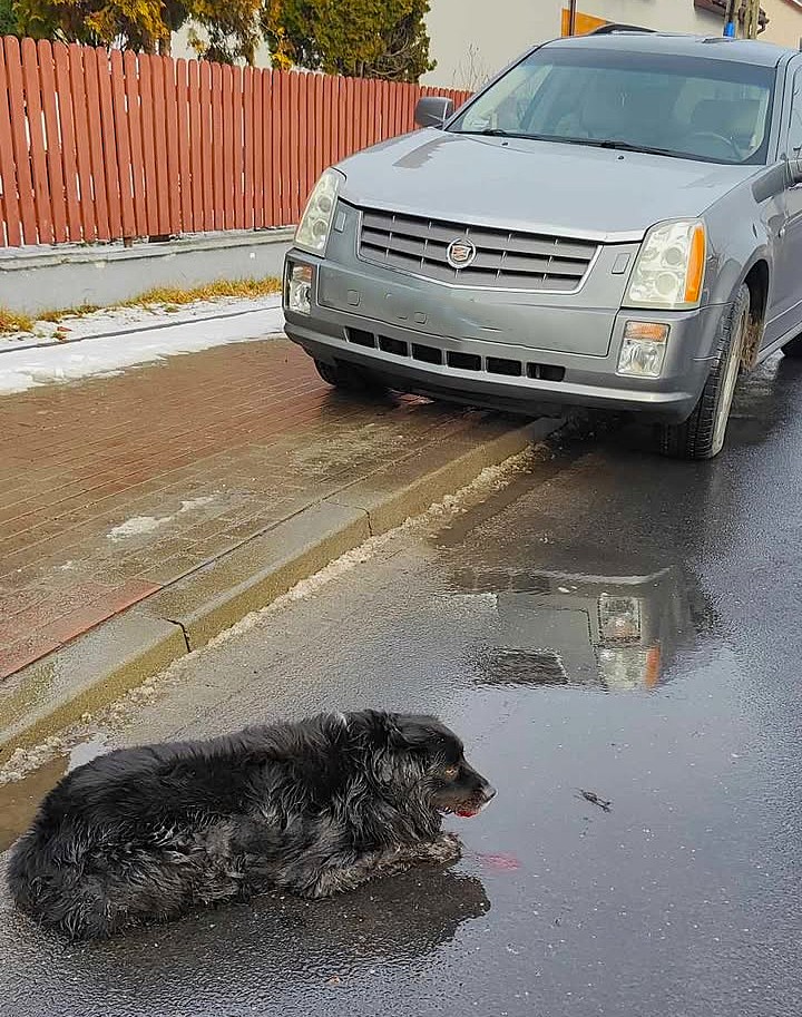 Podziękowania dla policjantów z Radomska. „Okazali mnóstwo empatii”