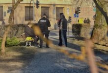 Informacje Więcej patroli policji na ulicach Radomska