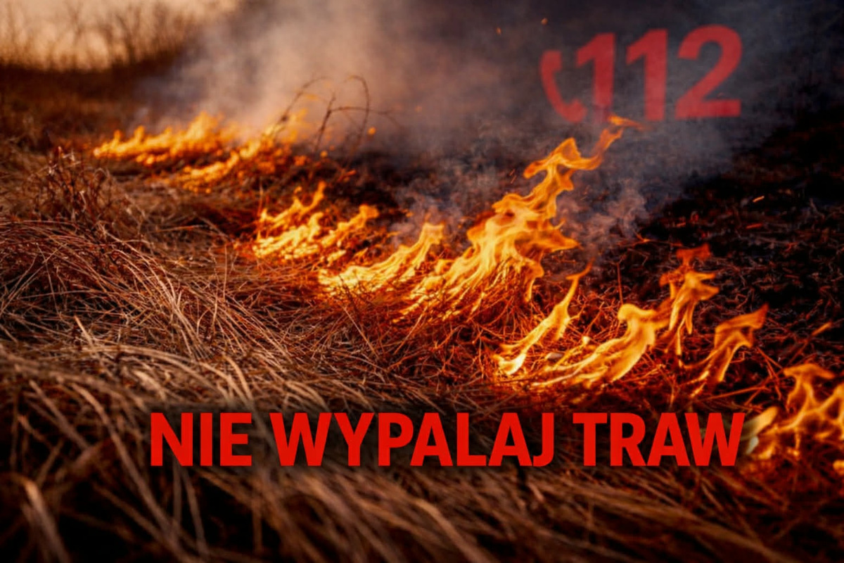 Służby interweniują coraz częściej. Wiosenny problem powraca