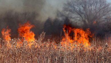 Wiosna i pożary traw. Strażacy już interweniowali w gminie Gidle