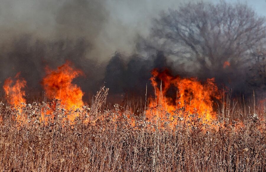 Wiosna i pożary traw. Strażacy już interweniowali w gminie Gidle