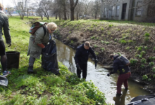 Wspólnie dla środowiska – akcja sprzątania Radomki
