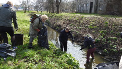 Wspólnie dla środowiska – akcja sprzątania Radomki