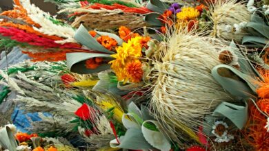 Rodzinna niedziela z tradycją i twórczą zabawą