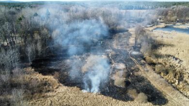 Pożary traw w powiecie radomszczańskim. Strażacy znów ruszyli do akcji