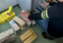 Wpadła z ogromnym zapasem papierosów w centrum Radomska. 64-latka zatrzymana