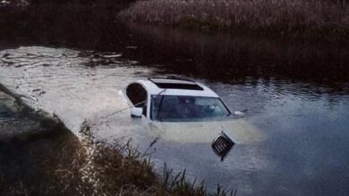 Chciał ominąć zwierzę – skończył w rzece. Niebezpieczna sytuacja na drodze