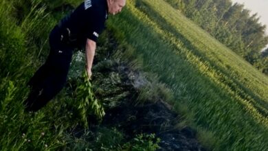Ogień pojawił się przy ulicy Sikorskiego. Funkcjonariusze ruszyli do działania