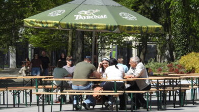 Food trucki w Parku Świętojańskim