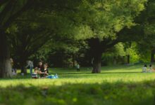 Łódzki NFZ zaprasza na Miesiąc Zdrowia Rodzin. Będą badania, konsultacje i profilaktyczne pikniki