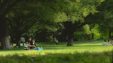 Łódzki NFZ zaprasza na Miesiąc Zdrowia Rodzin. Będą badania, konsultacje i profilaktyczne pikniki