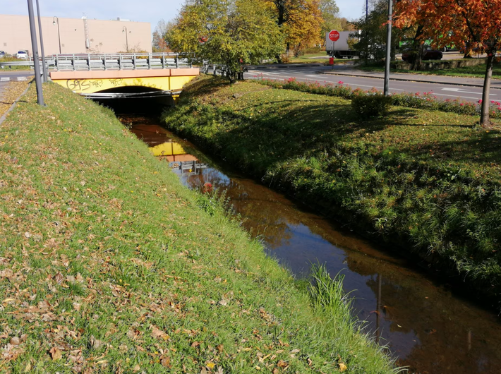 Wybrano wykonawcę prac przy rzece Radomce. Inwestycja ma ograniczyć ryzyko podtopień