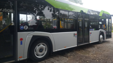 Duże zmiany w komunikacji miejskiej w Radomsku. Nowy rozkład od września