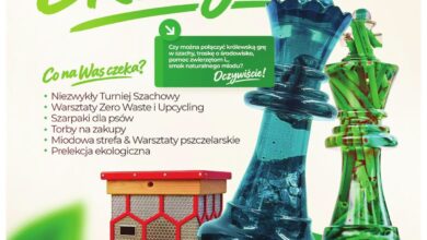 Ekologia, szachy i pszczoły. Wyjątkowe wydarzenie już w sobotę w Radomsku